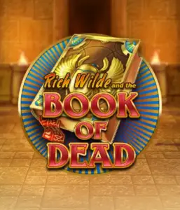 Embark on the thrilling world of Book of Dead by Play'n GO, showcasing vivid graphics of Rich Wilde's journey through ancient Egyptian tombs and artifacts. Find lost riches with captivating mechanics like free spins, expanding symbols, and a gamble option. Ideal for adventure seekers with a desire for exciting finds.